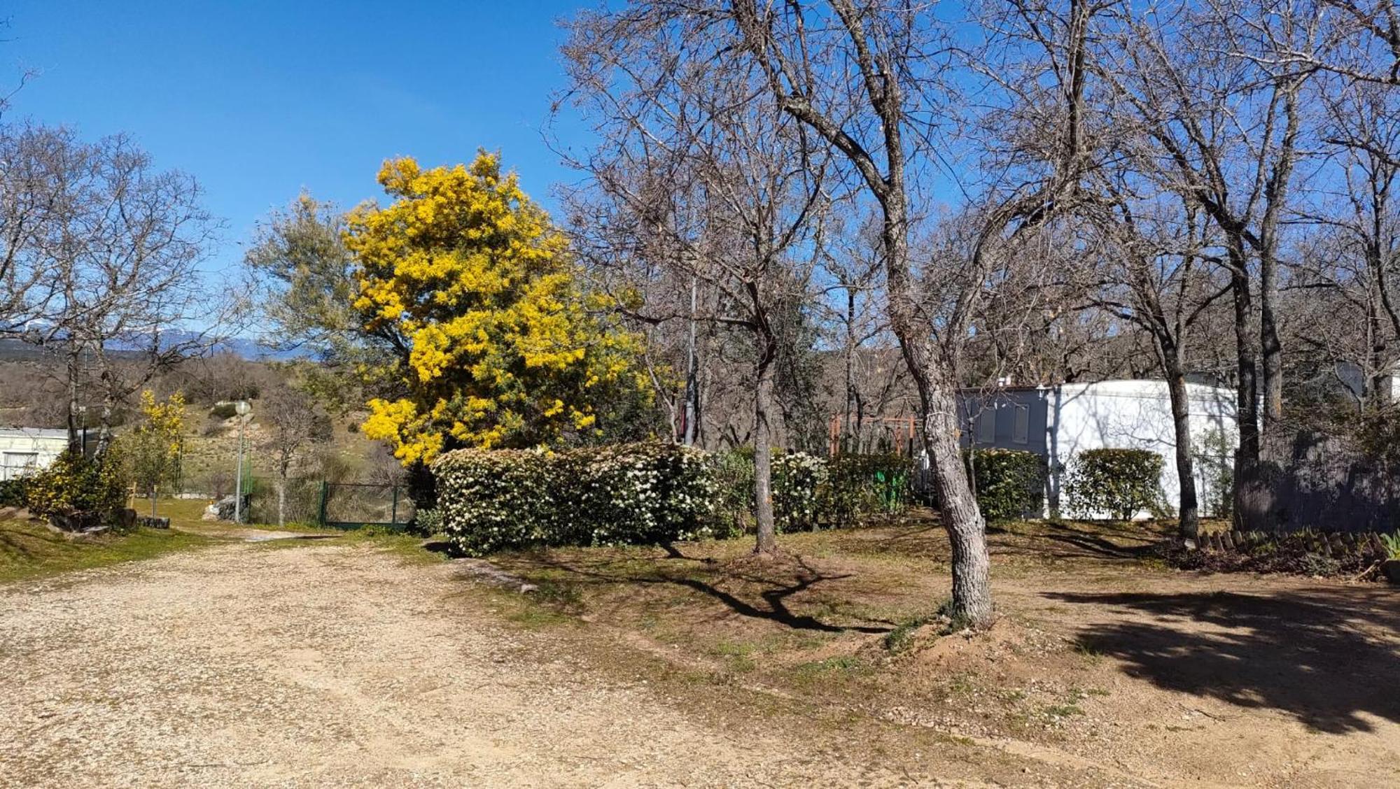 Camping De Cervera De Buitrago Eksteriør bilde