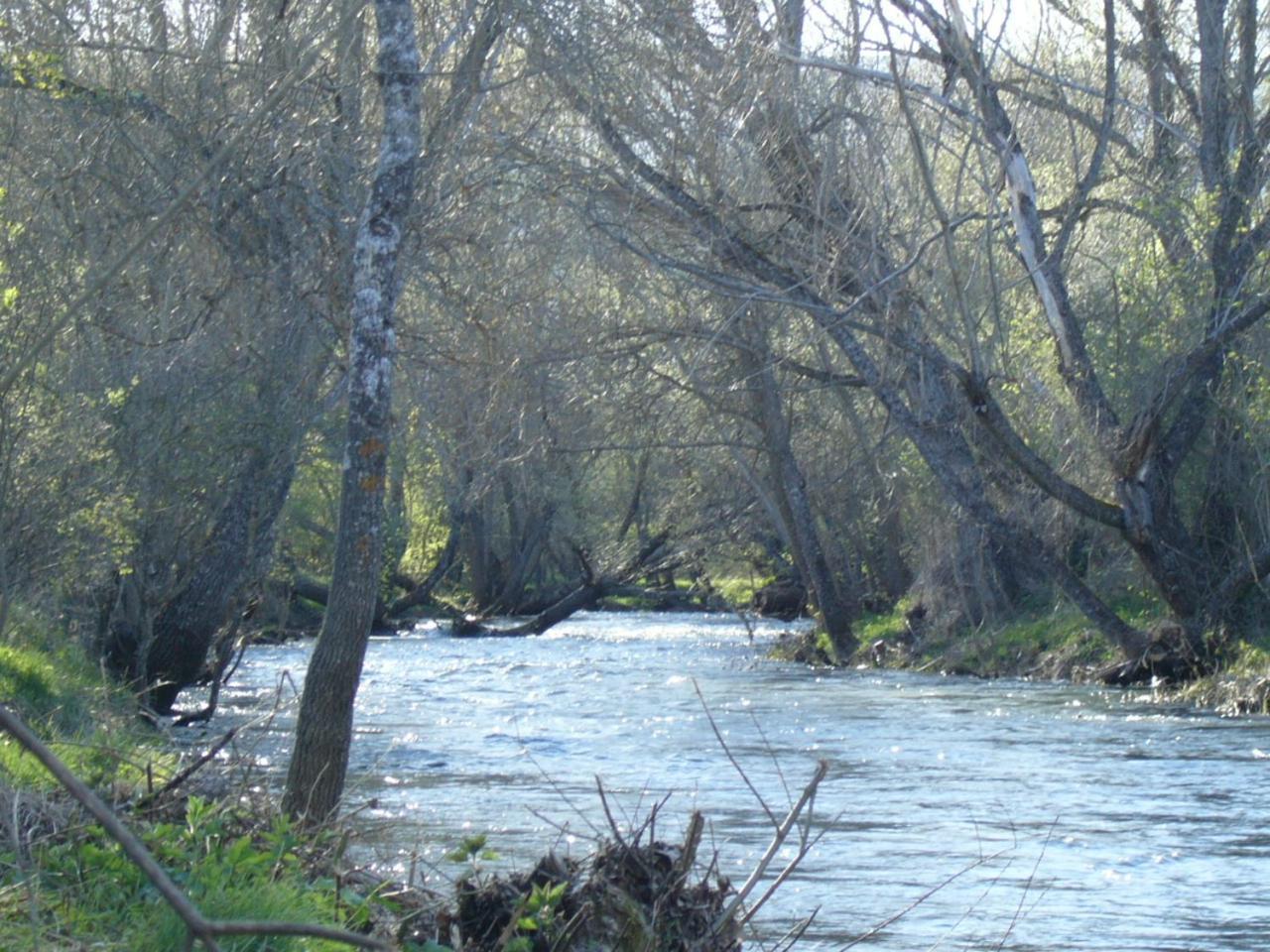 Camping De Cervera De Buitrago Eksteriør bilde